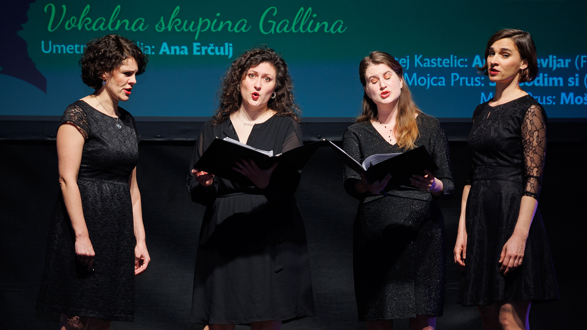 Konzert Gallina
