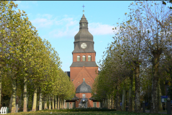 Allee und Stiftskirche im Herbst