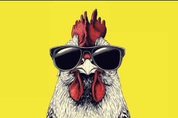 Buch Chicken Impossible: gezeichnetes Huhn mit Sonnenbrille 